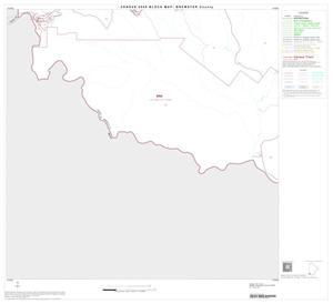 Primary view of object titled '2000 Census County Block Map: Brewster County, Block 45'.