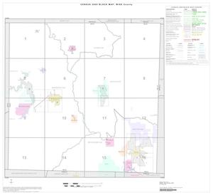 Primary view of object titled '2000 Census County Block Map: Wise County, Index'.