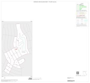 Primary view of object titled '2000 Census County Block Map: Tyler County, Inset C01'.