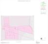 Primary view of 2000 Census County Block Map: Fannin County, Inset E01