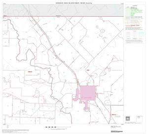 Primary view of object titled '2000 Census County Block Map: Wise County, Block 2'.
