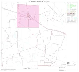 2000 Census County Block Map: Brazos County, Block 26