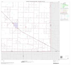 Primary view of object titled '2000 Census County Block Map: Castro County, Block 9'.