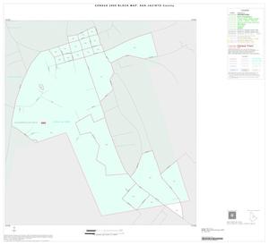 Primary view of object titled '2000 Census County Block Map: San Jacinto County, Inset B01'.