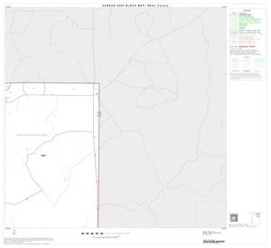 2000 Census County Block Map: Real County, Block 3
