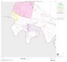 Thumbnail image of item number 1 in: '2000 Census County Block Map: Hidalgo County, Block 64'.