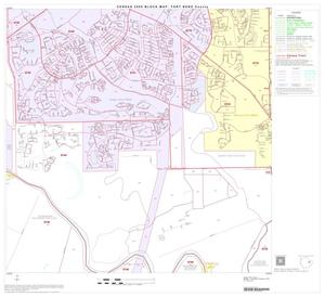 Primary view of 2000 Census County Block Map: Fort Bend County, Block 29