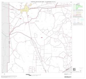 2000 Census County Block Map: Culberson County, Block 13