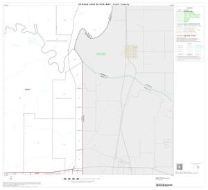 Primary view of object titled '2000 Census County Block Map: Clay County, Block 11'.