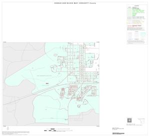 Primary view of object titled '2000 Census County Block Map: Crockett County, Inset A04'.