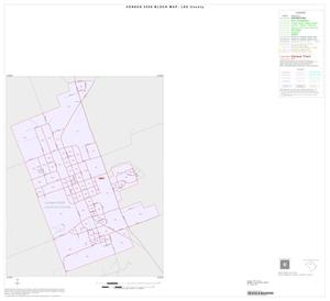 Primary view of object titled '2000 Census County Block Map: Lee County, Inset A01'.