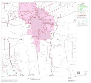 2000 Census County Block Map: Titus County, Block 8