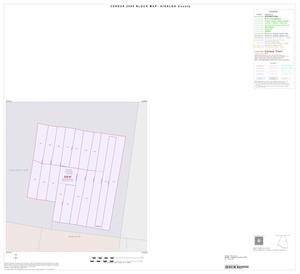 Primary view of object titled '2000 Census County Block Map: Hidalgo County, Inset C01'.