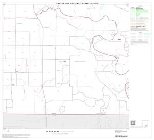 2000 Census County Block Map: Runnels County, Block 15