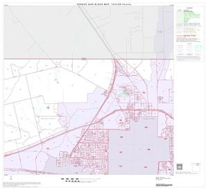 2000 Census County Block Map: Taylor County, Block 4