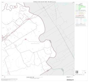 Primary view of object titled '2000 Census County Block Map: Milam County, Block 13'.