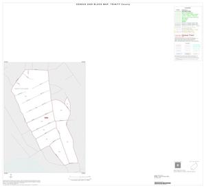 Primary view of object titled '2000 Census County Block Map: Trinity County, Inset E01'.