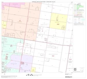 2000 Census County Block Map: Hidalgo County, Block 70