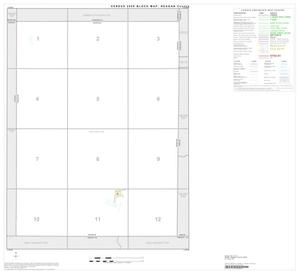 Primary view of object titled '2000 Census County Block Map: Reagan County, Index'.
