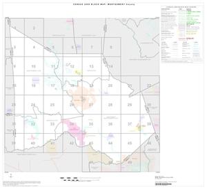 2000 Census County Block Map: Montgomery County, Index