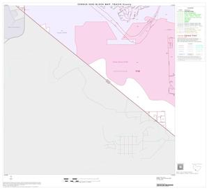 2000 Census County Block Map: Travis County, Block 77