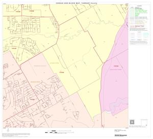 2000 Census County Block Map: Tarrant County, Block 89