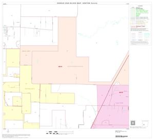 2000 Census County Block Map: Denton County, Block 35