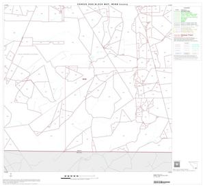 2000 Census County Block Map: Webb County, Block 35