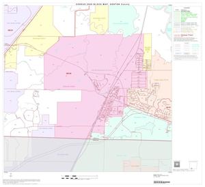 2000 Census County Block Map: Denton County, Block 51