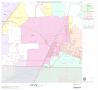 Map: 2000 Census County Block Map: Denton County, Block 51