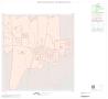 Map: 2000 Census County Block Map: San Augustine County, Inset A01