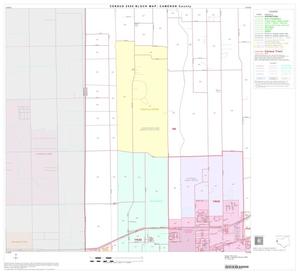 2000 Census County Block Map: Cameron County, Block 25