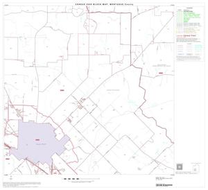 Primary view of object titled '2000 Census County Block Map: Montague County, Block 14'.