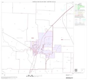 2000 Census County Block Map: Denton County, Block 19