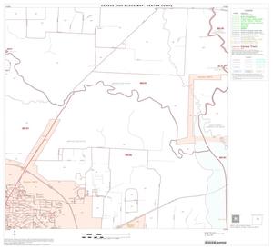 2000 Census County Block Map: Denton County, Block 21