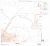 Map: 2000 Census County Block Map: Denton County, Block 21