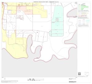 2000 Census County Block Map: Cameron County, Block 73