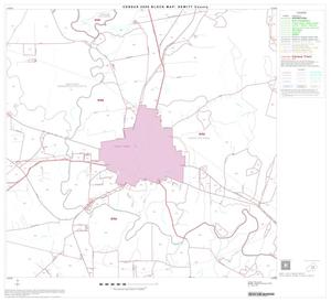 Primary view of 2000 Census County Block Map: DeWitt County, Block 11