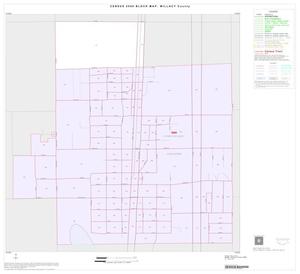2000 Census County Block Map: Willacy County, Inset E01