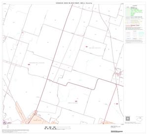 2000 Census County Block Map: Bell County, Block 8