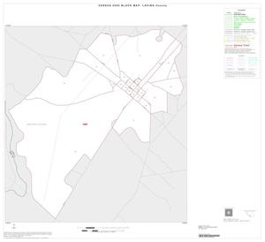 Primary view of object titled '2000 Census County Block Map: Loving County, Inset A01'.