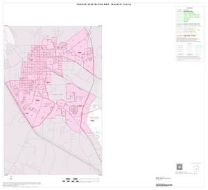 2000 Census County Block Map: Walker County, Inset C01