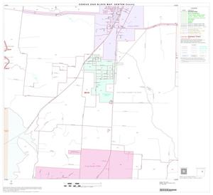 2000 Census County Block Map: Denton County, Block 22