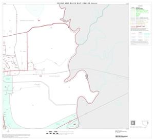 Primary view of object titled '2000 Census County Block Map: Orange County, Block 12'.