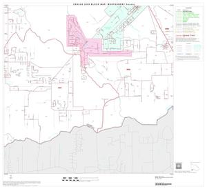 2000 Census County Block Map: Montgomery County, Block 40