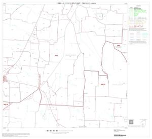 2000 Census County Block Map: Fannin County, Block 13