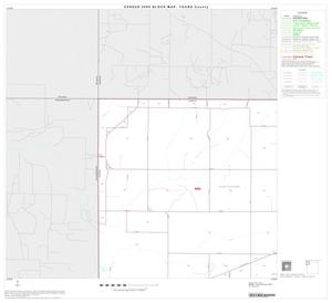 Primary view of object titled '2000 Census County Block Map: Young County, Block 1'.