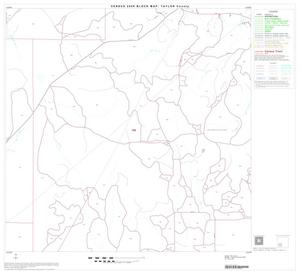 2000 Census County Block Map: Taylor County, Block 17