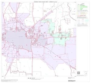 Primary view of object titled '2000 Census County Block Map: Lamar County, Block 11'.