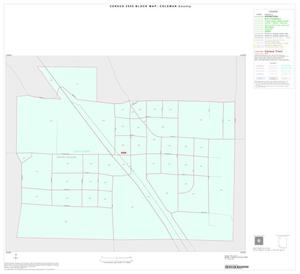 Primary view of object titled '2000 Census County Block Map: Coleman County, Inset A01'.